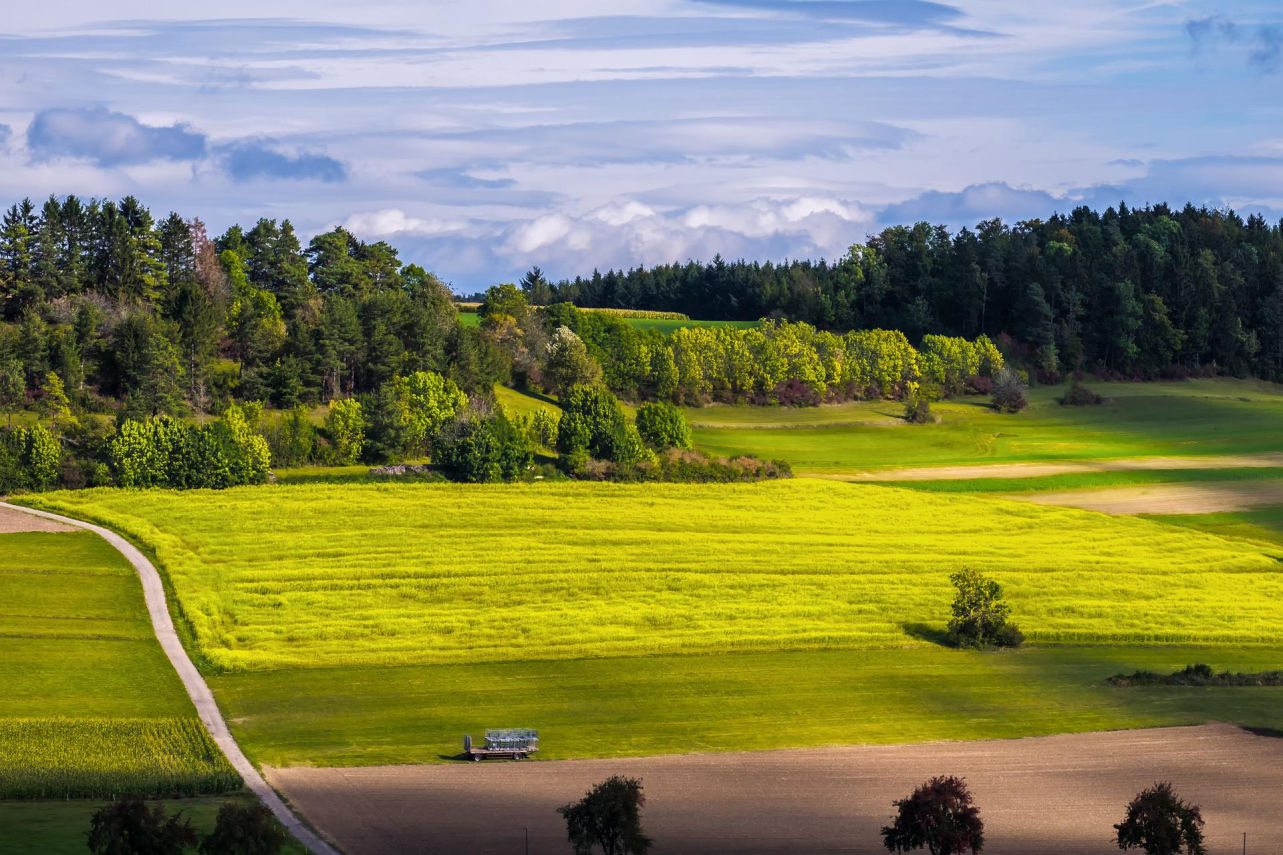 Investissement ESG à Châlons-en-Champagne